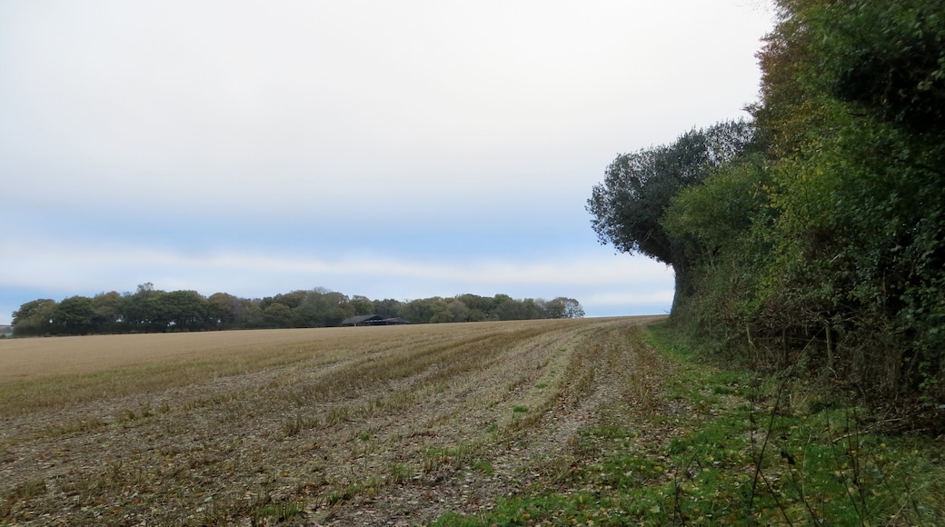 Fields beyond Rag Copse - Nov 2012