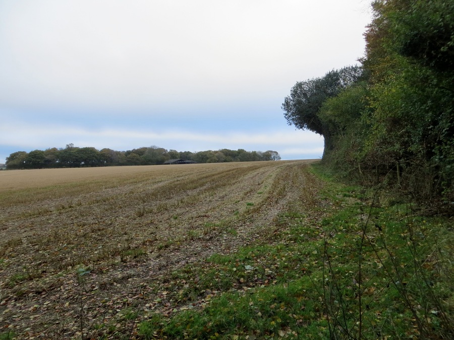 Fields beyond Rag Copse - Nov 2012