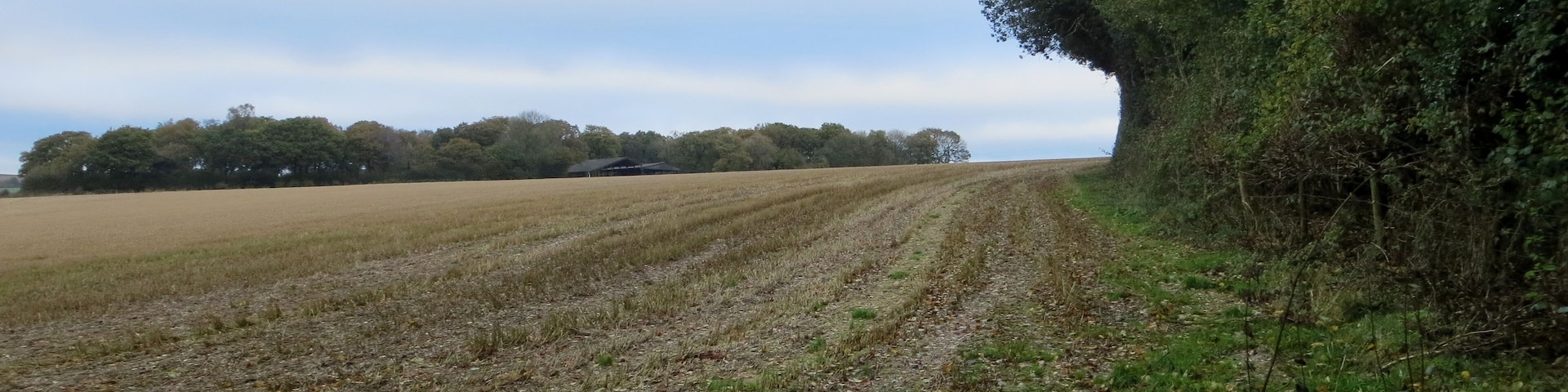 Fields beyond Rag Copse - Nov 2012