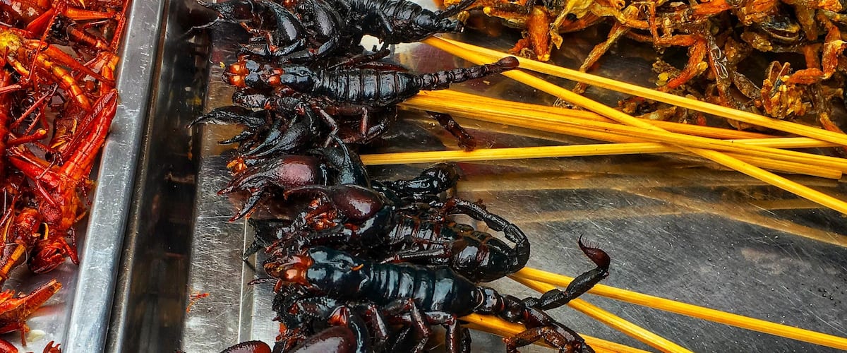 One person's "Yuck" is another's "Yum". Coming across a bug cart of edible insects in #Chinatown #Bangkok; Ready to eat #scorpions. Tasty for some, but scary for others. #BugBuffet #Bugcart #ChinatownBangkok #Edibleinsects #Thailand. Try some just #LikeALocal #Trovember