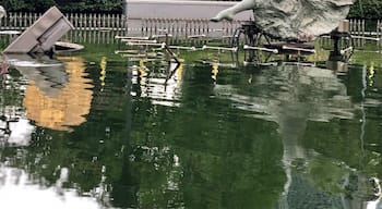 Park in Sukhumvit Road