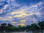 A sunset over a lake with boats and trees.