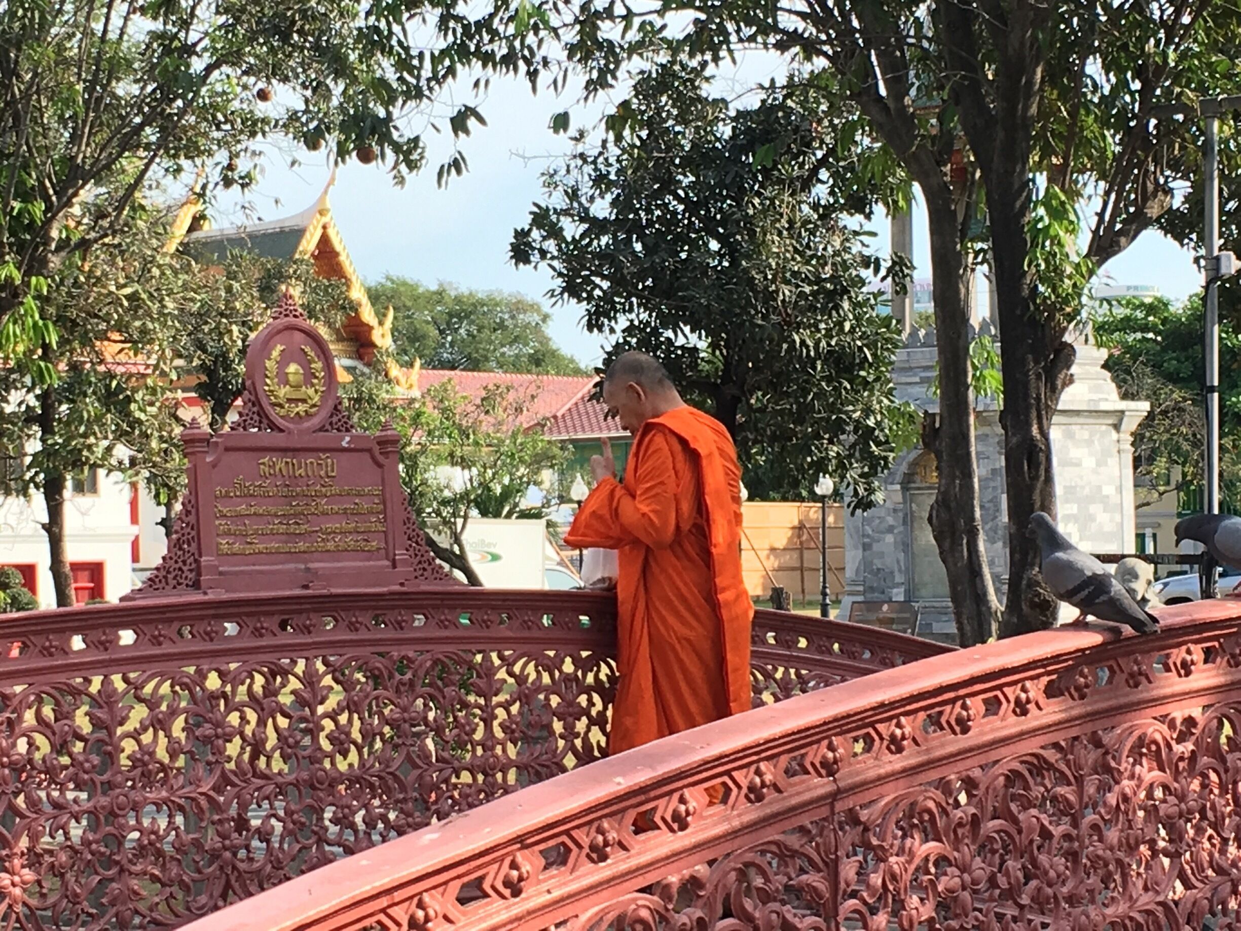 Time to feed the fish. Marble temple, Bangkok.