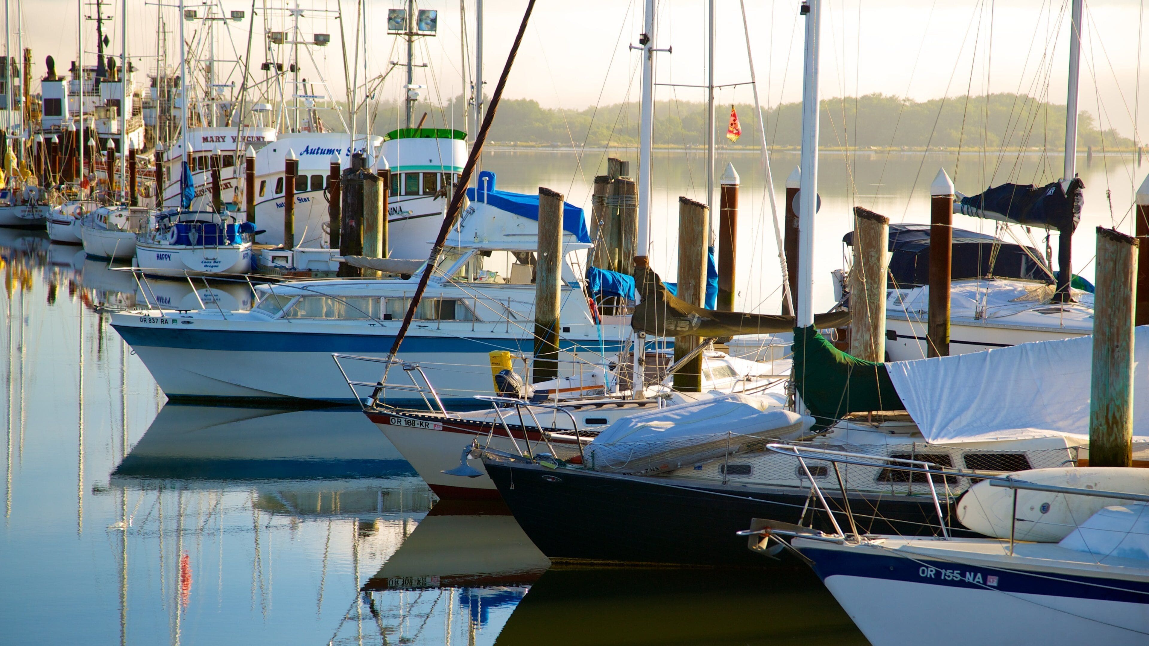 Coos Bay ofreciendo una marina