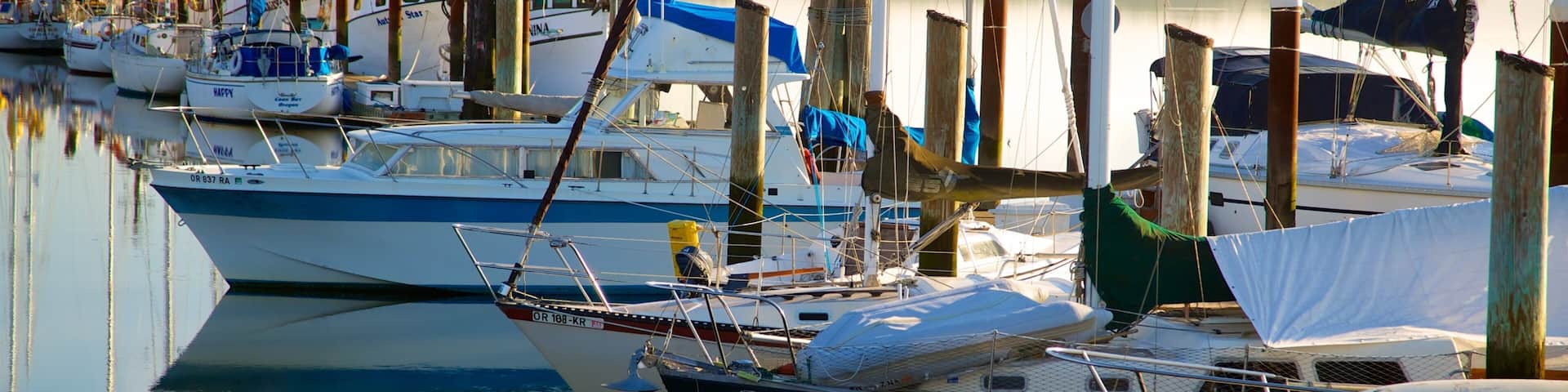 Coos Bay showing a marina