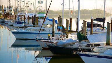 Coos Bay showing a marina