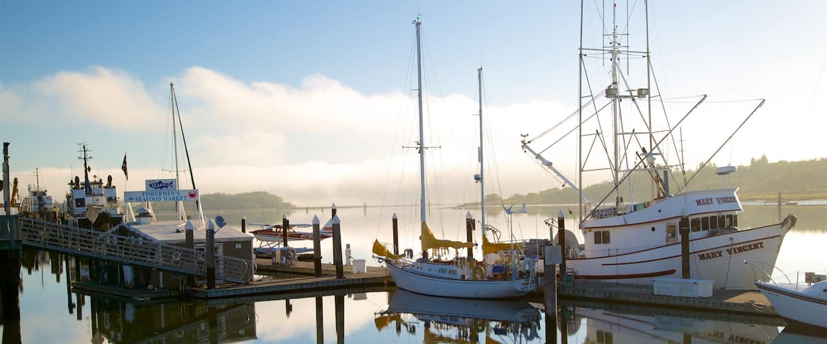 A marina with several boats docked, including a large white boat named 'Mary Vincent' and a smaller plane on the dock.