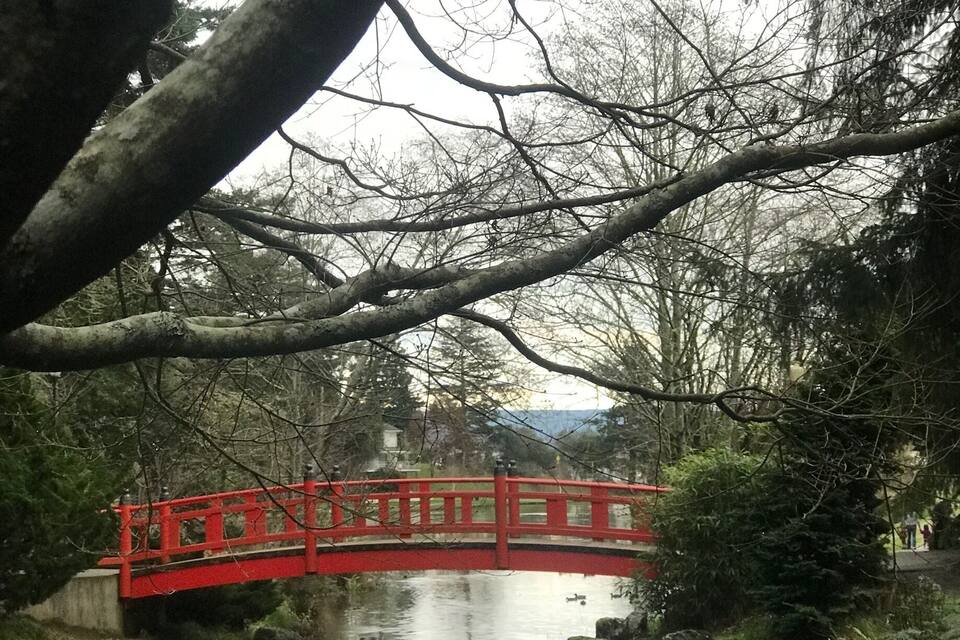 A red bridge over a calm river, surrounded by trees and greenery.