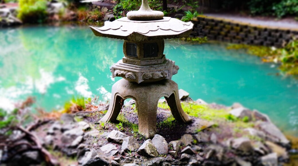 Choshi gardens in Mingus park #hiking #running #exploring