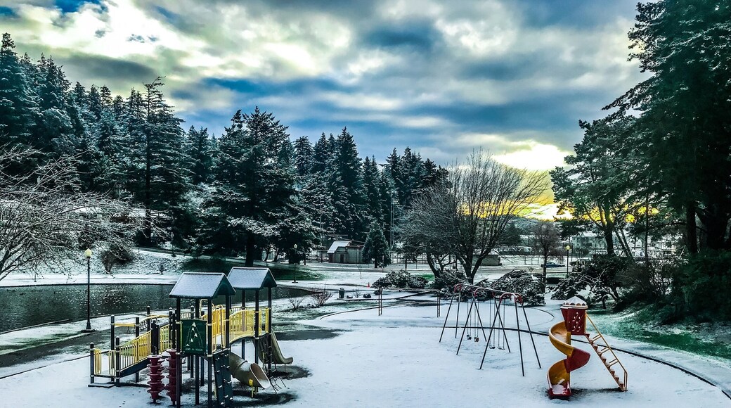 Snow day in Coos Bay #exploring #hiking