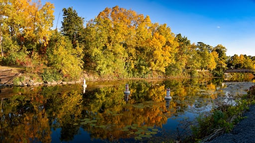 Fall on a river in the Finger Lakes, New York State