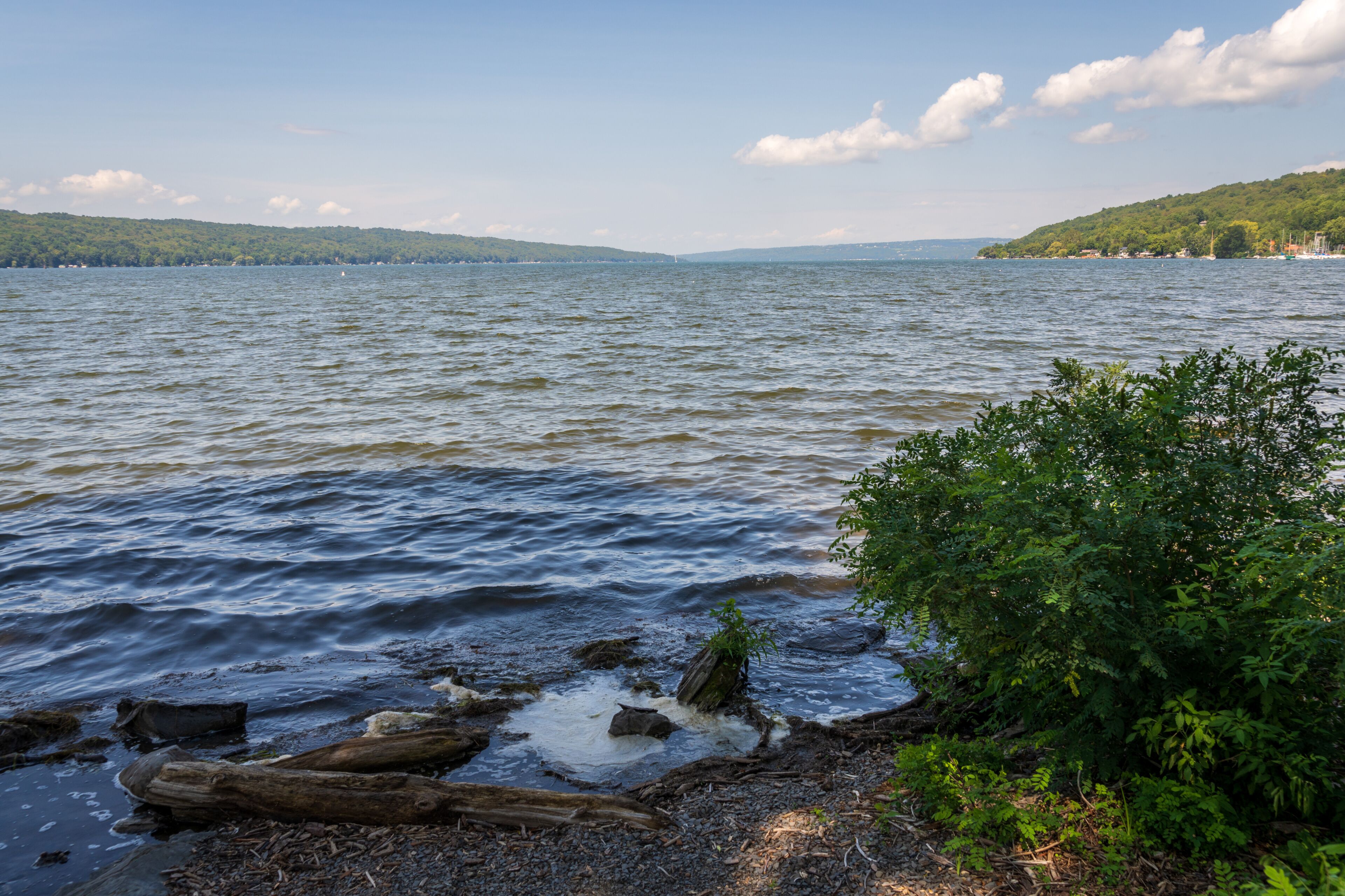 The Finger Lakes portion of Upstate New York