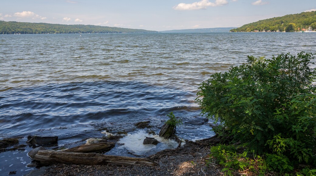 The Finger Lakes portion of Upstate New York