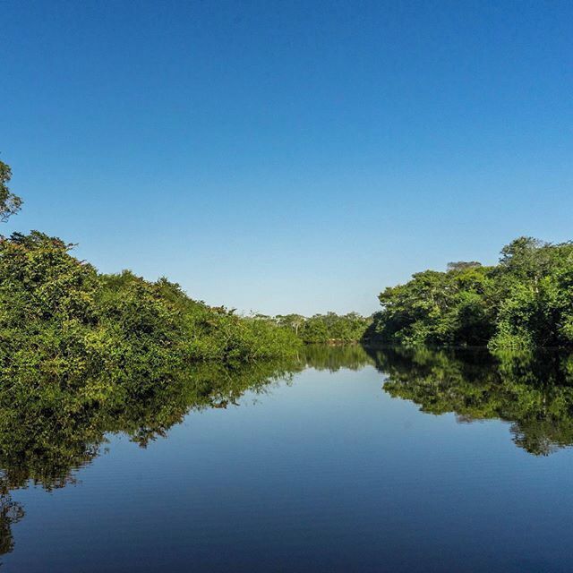 Sailing on a perfect mirror in The Pantanal on the look-out for monkeys and jaguars🙈🐆