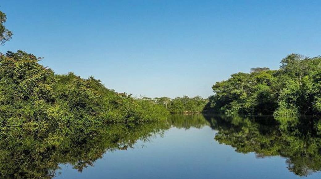 Sailing on a perfect mirror in The Pantanal on the look-out for monkeys and jaguars🙈🐆