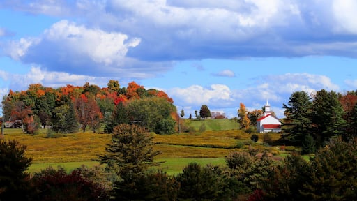 Autumn Skies over Butternut Road. Unadilla, NY.