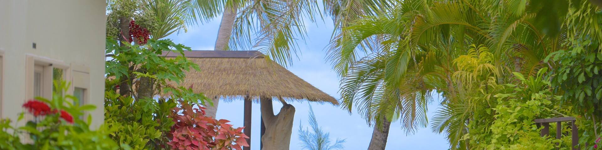 A tropical garden with palm trees, a thatched-roof structure, and a view of the ocean.