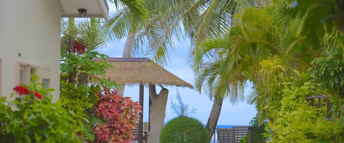 A tropical garden with palm trees, a thatched-roof structure, and a view of the ocean.