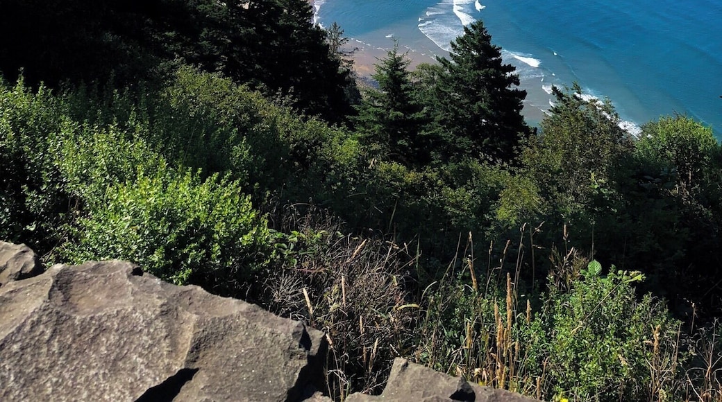 If you are ever traveling down the Pacific Coast Highway (Hwy 101) make sure to stop along the way or you may miss out on the beautiful picture perfect opportunities.