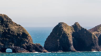 Three Arch Rocks, visible from Cape Meares on the Oregon coast; Oceanside, Oregon, United States of America