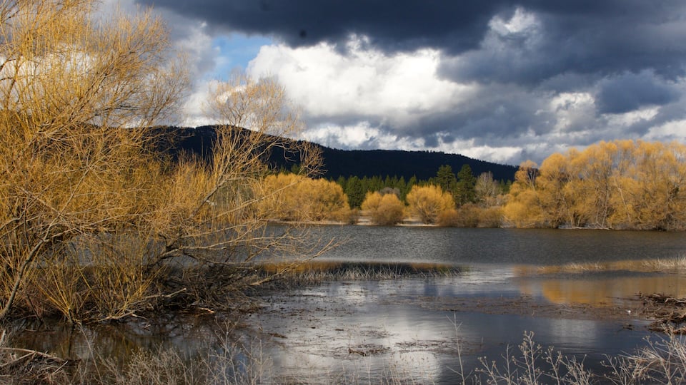 A river with autumn foliage, a cloudy sky, and distant hills.
