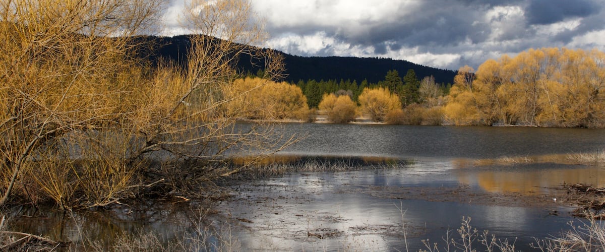 A river with autumn foliage, a cloudy sky, and distant hills.