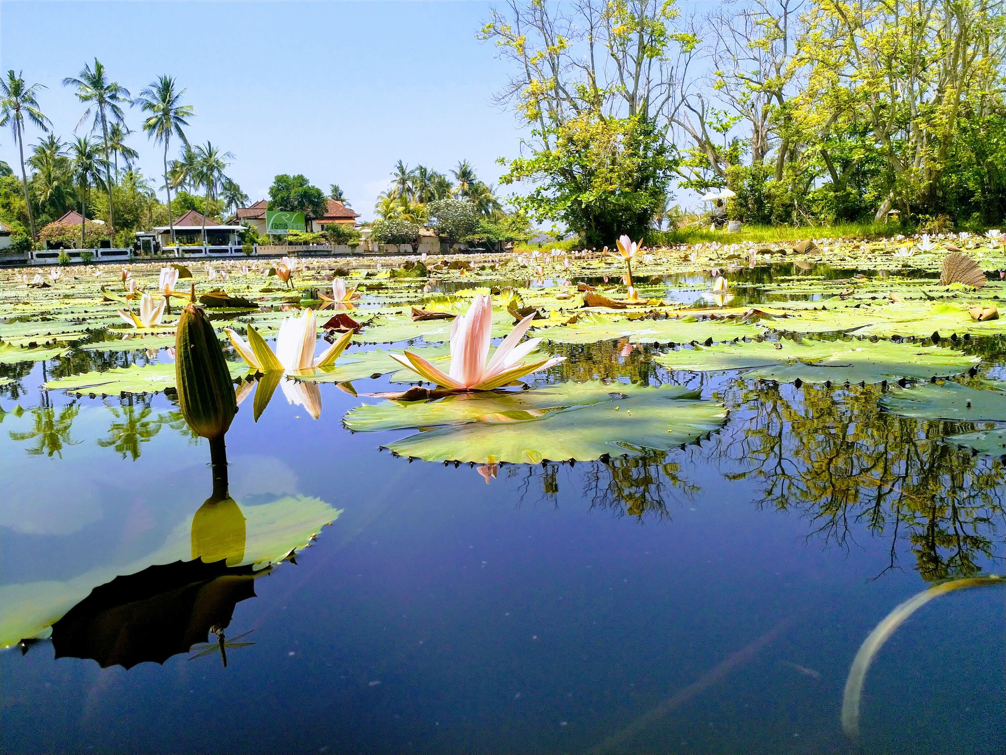 Beautiful place for a walk. 

We didn't even know about this place. We pulled the scooter over when we saw it from the road.

 #Trovember
