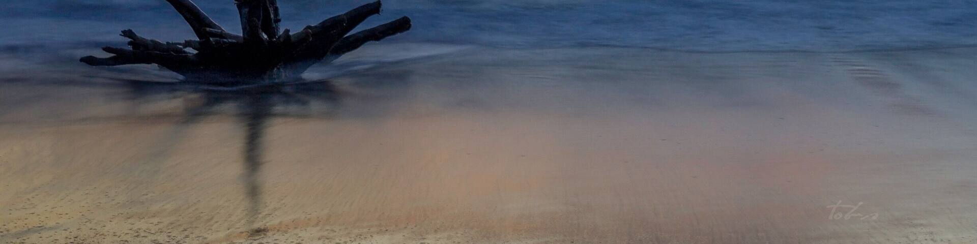 🎨 | 35mm | f5 | 5s | iso 100
.
.
.
.
#sonyalphasclub #sonyalpha #sonyimages #sunsetlovers #skyporn #cloudzdelight #all_sunsets #sunset_pics #scenicsunset #sunsetporn #welivetoexplore #sonyphotogallery #world_bestsky #sunset_universe #sunset_lovee #sky_perfection #awesome_earthpix #twilightscapes #instasunsets #sunsets #skylovers #sunsetsniper #sunsethunter #sunset_hub #sunset_stream #sunrise_and_sunsets #sunset_madness #irox_skyline #nofilter