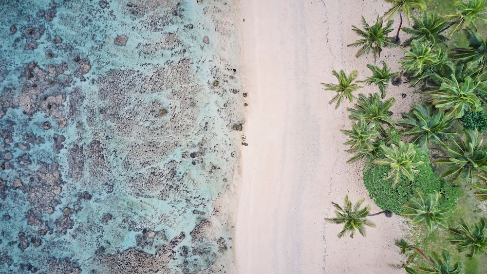 A beach with clear turquoise water, a sandy shore, and palm trees.