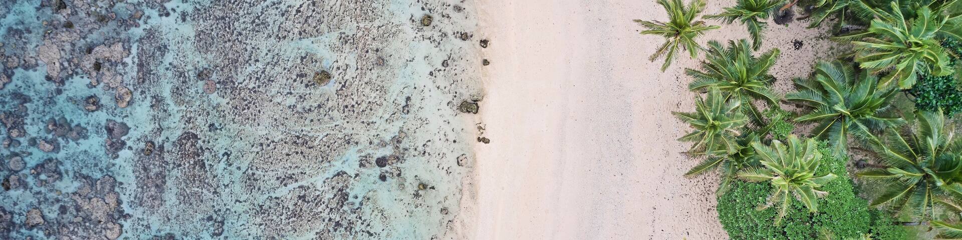 Aerial of palm trees and blue water with coral reef on Coral Coast, Fiji