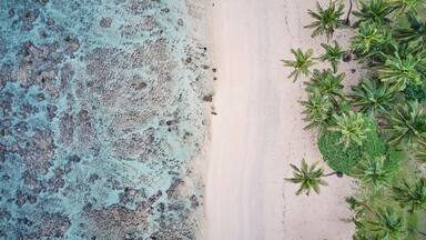 Een strand met helder turquoise water, een zandstrand en palmbomen.