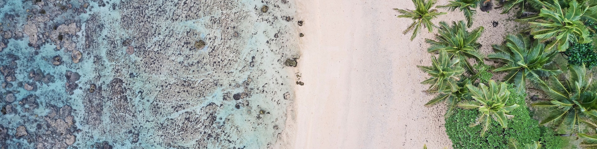 Una playa con agua turquesa cristalina, una orilla arenosa y palmeras.