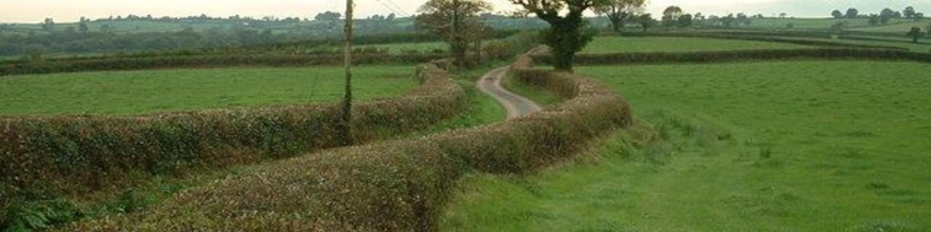 The road near Brynynyd