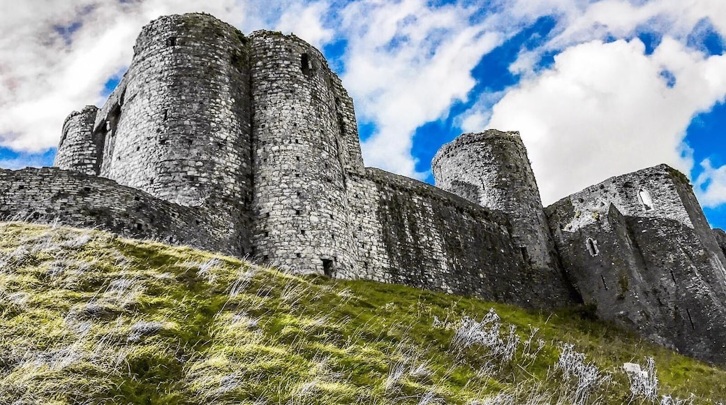 Taken at Kidwelly castle. A lot of history here and great walk.