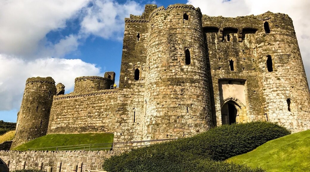 Taken at Kidwelly castle. A lot of history here and great walk.