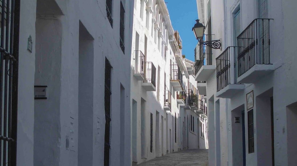 Easy walk around Frigiliana