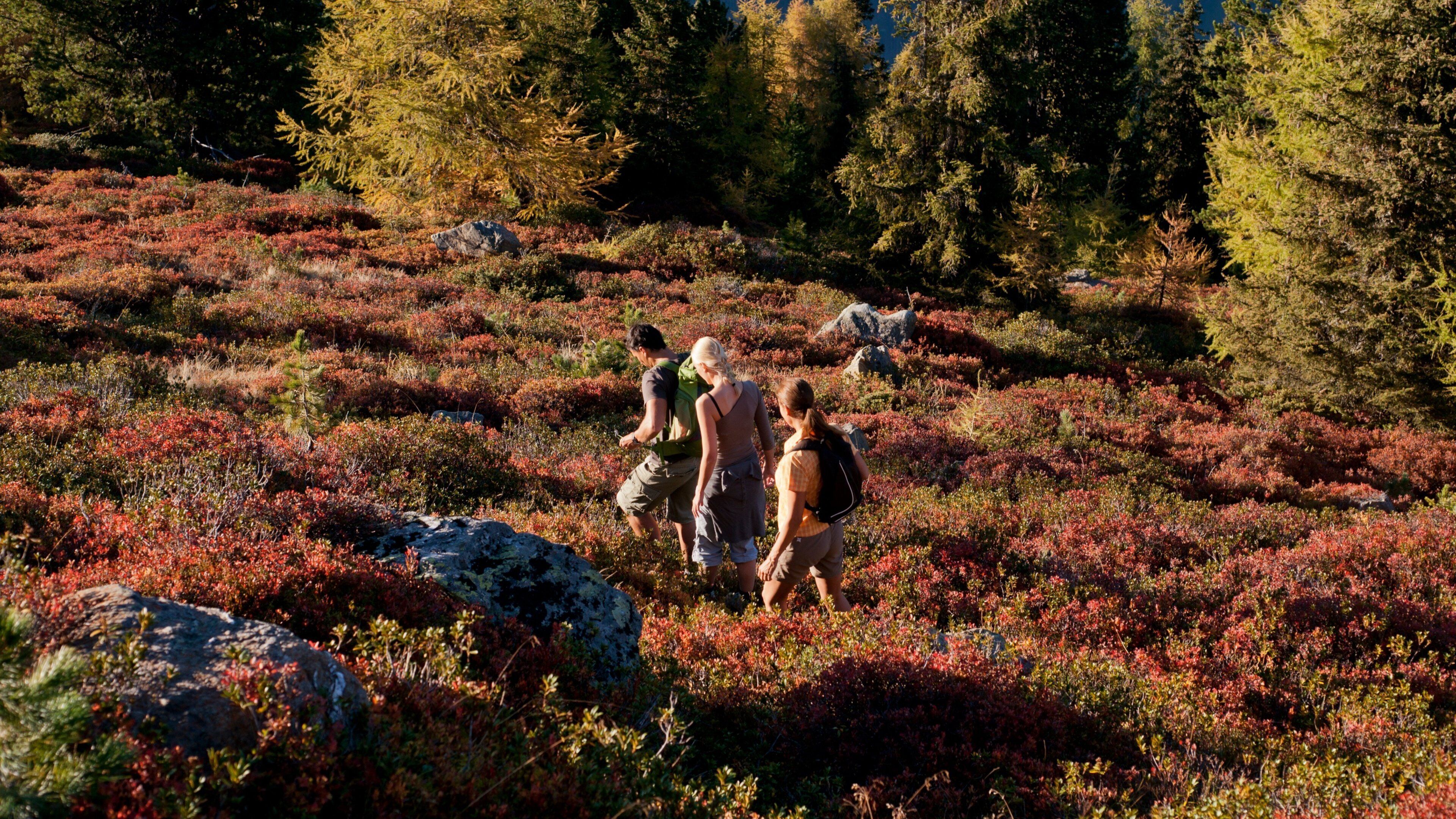 See showing wildflowers and a park as well as a small group of people