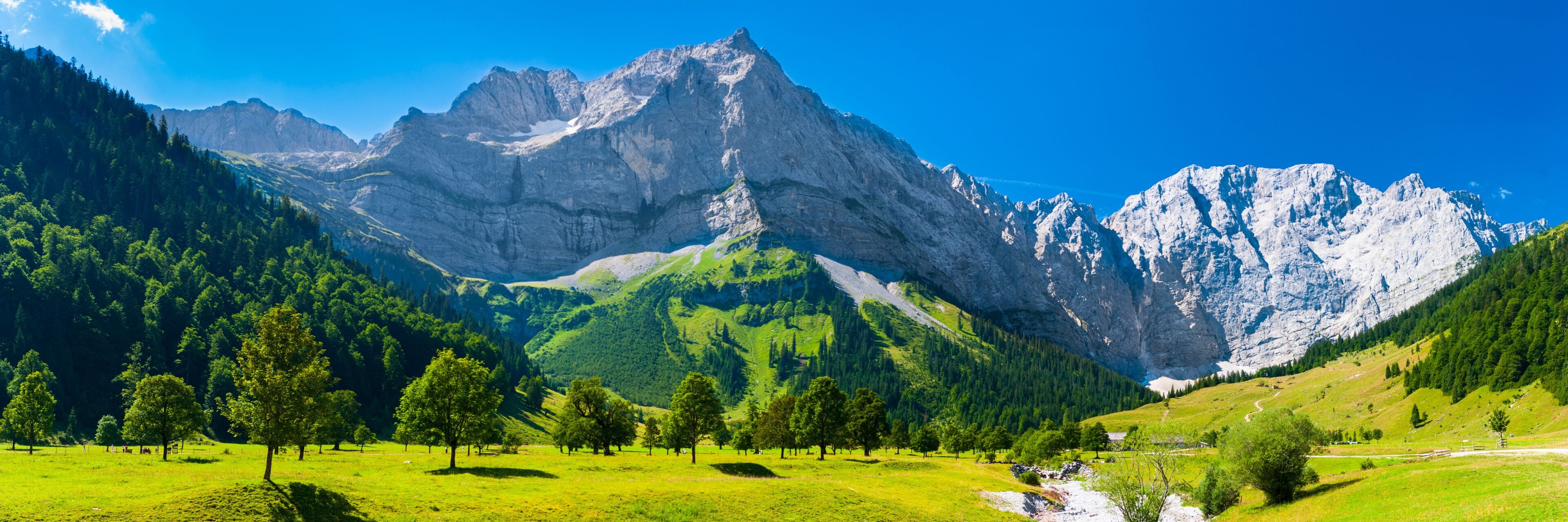 Un paisaje montañoso con un pico destacado, valles verdes y exuberantes, y árboles dispersos.