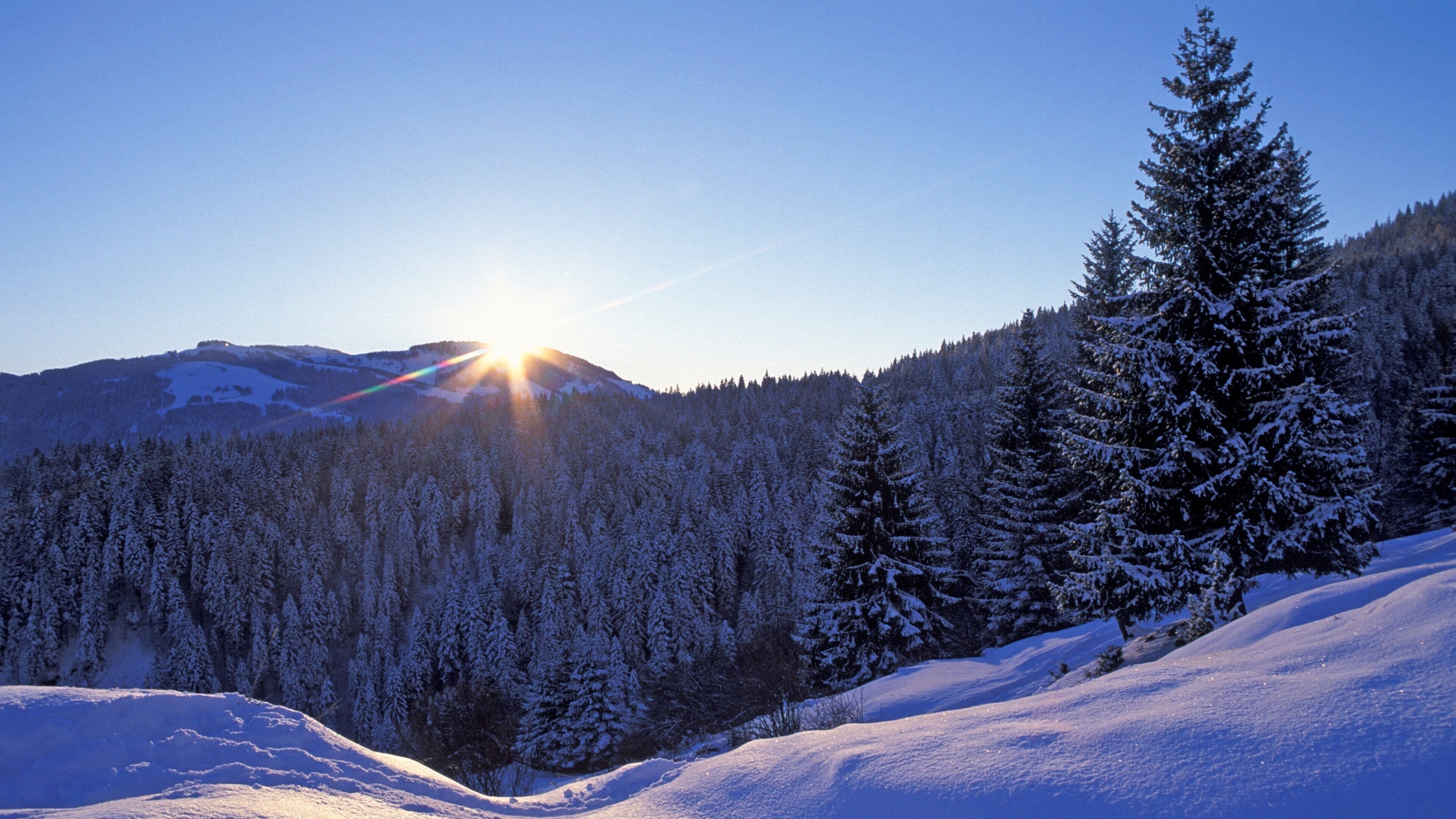 Scheffau am Wilden Kaiser featuring forests, snow and a sunset