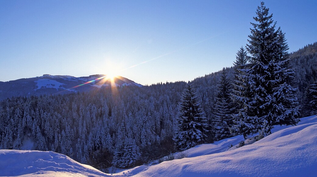 Scheffau am Wilden Kaiser featuring forests, snow and a sunset