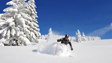 Scheffau am Wilden Kaiser welches beinhaltet Schnee und Skifahren