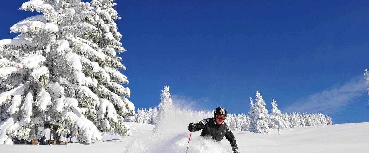 A skier skiing down a snow-covered slope with snow-covered trees in the background.