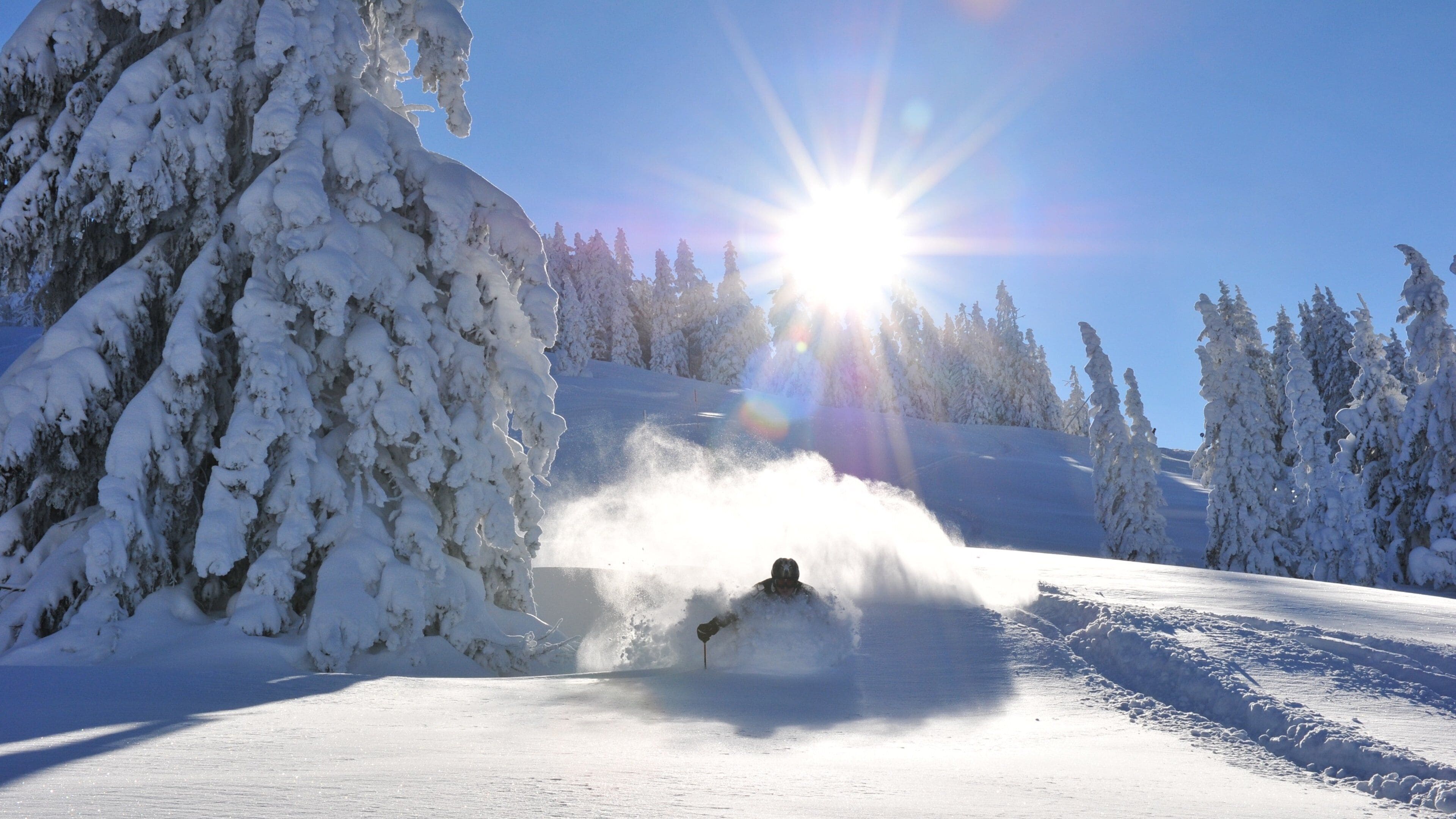 A person skiing down a snowy slope with trees on either side and the sun shining brightly in the sky.