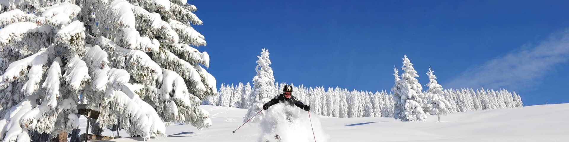 A skier on a snowy slope with snow-covered trees and a clear blue sky.