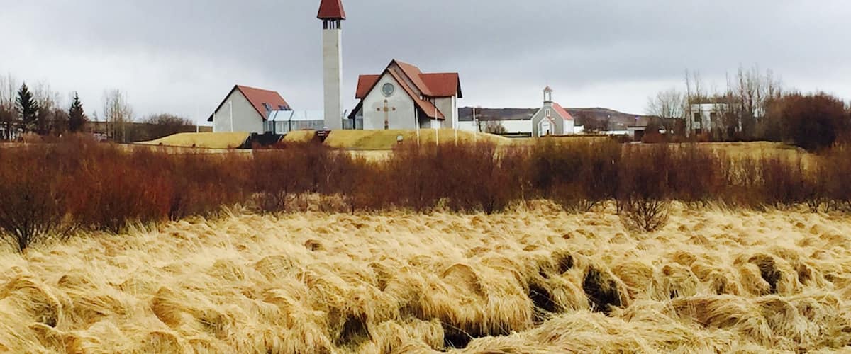 A rural landscape with a church, a tall tower, and a field of golden wheat.