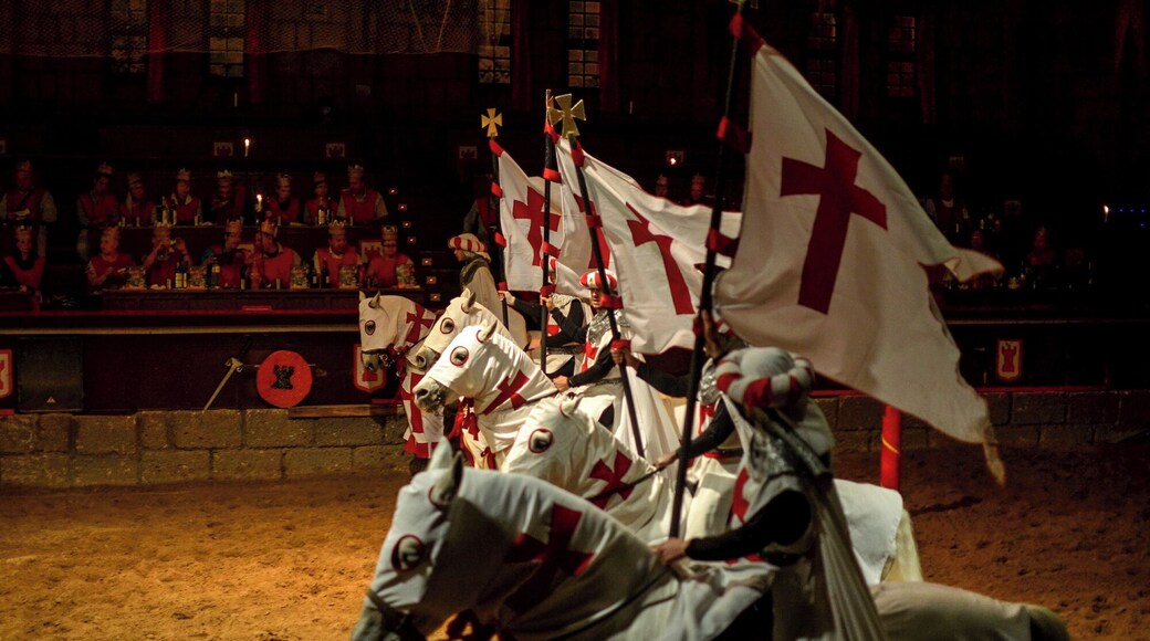 Castillo San Miguel.
Enjoy a Medieval Dinner with show.
During the Tournament, you will be served the banquet just as it was done in medieval times; The soup is drunk and an entire chicken per person with its garnish is eaten by hand.