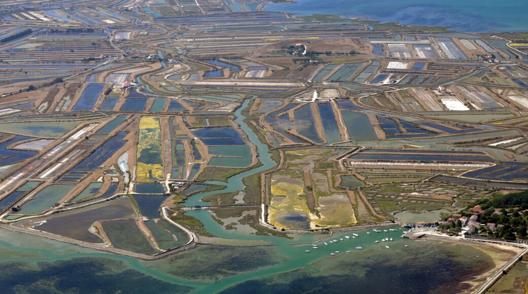 Les marais salants de l'ile de Ré vu du ciel