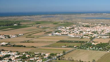 ile de Ré vu du ciel