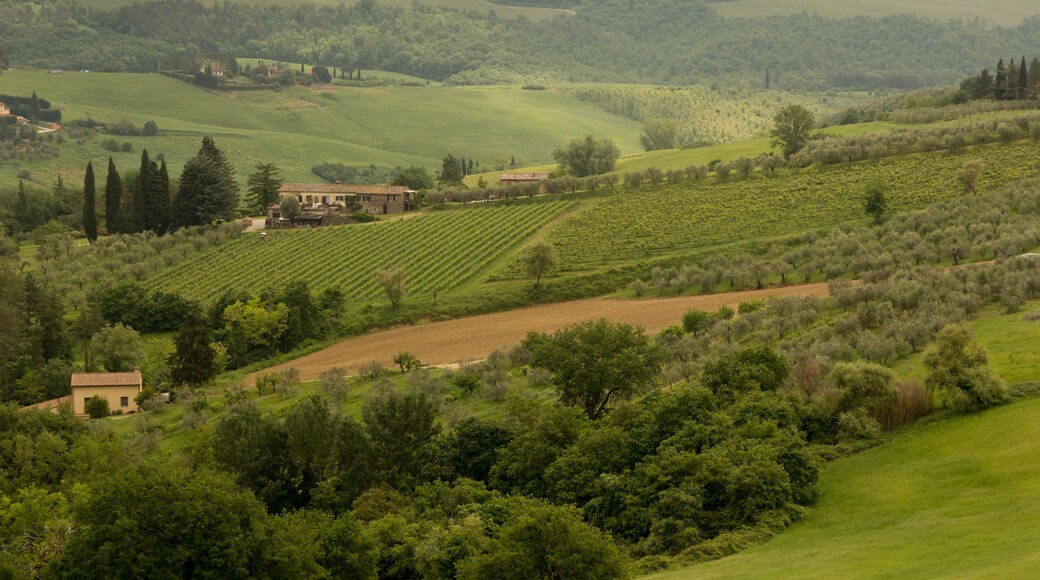 Barberino Val d'Elsa