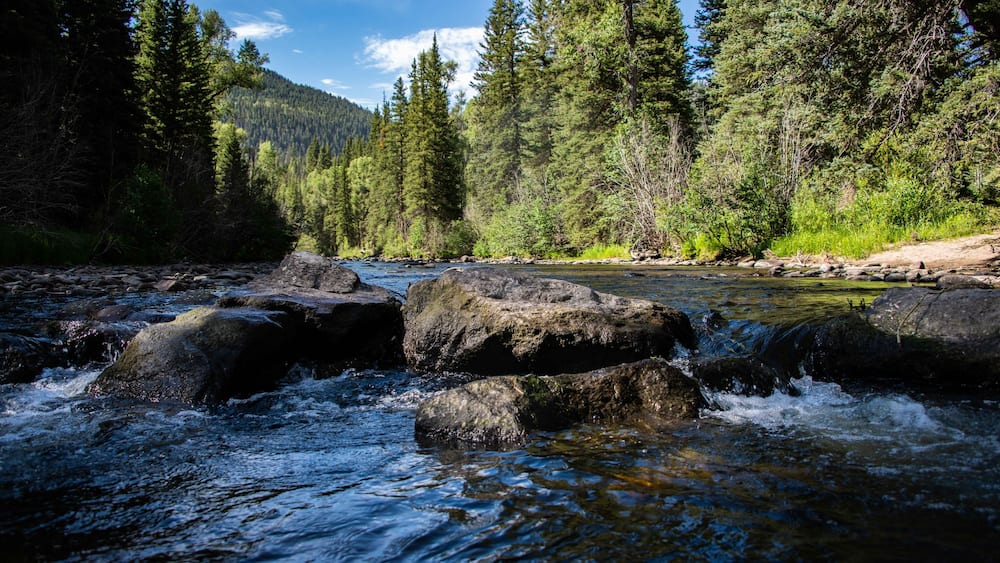 A river flowing through a forest with large rocks in the water.